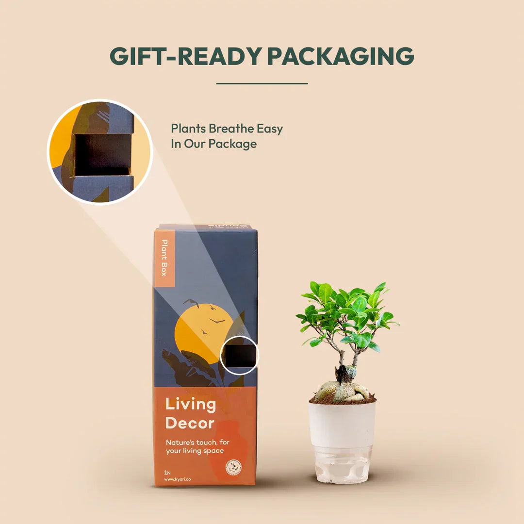 Top Business Gifts for Professional Relationships