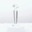 Cystal Spark Diamond Trophy