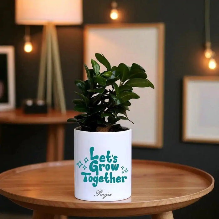 Personalised Lets Go Together Ficus Compacta