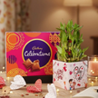 Love Bamboo With Cadbury Combo