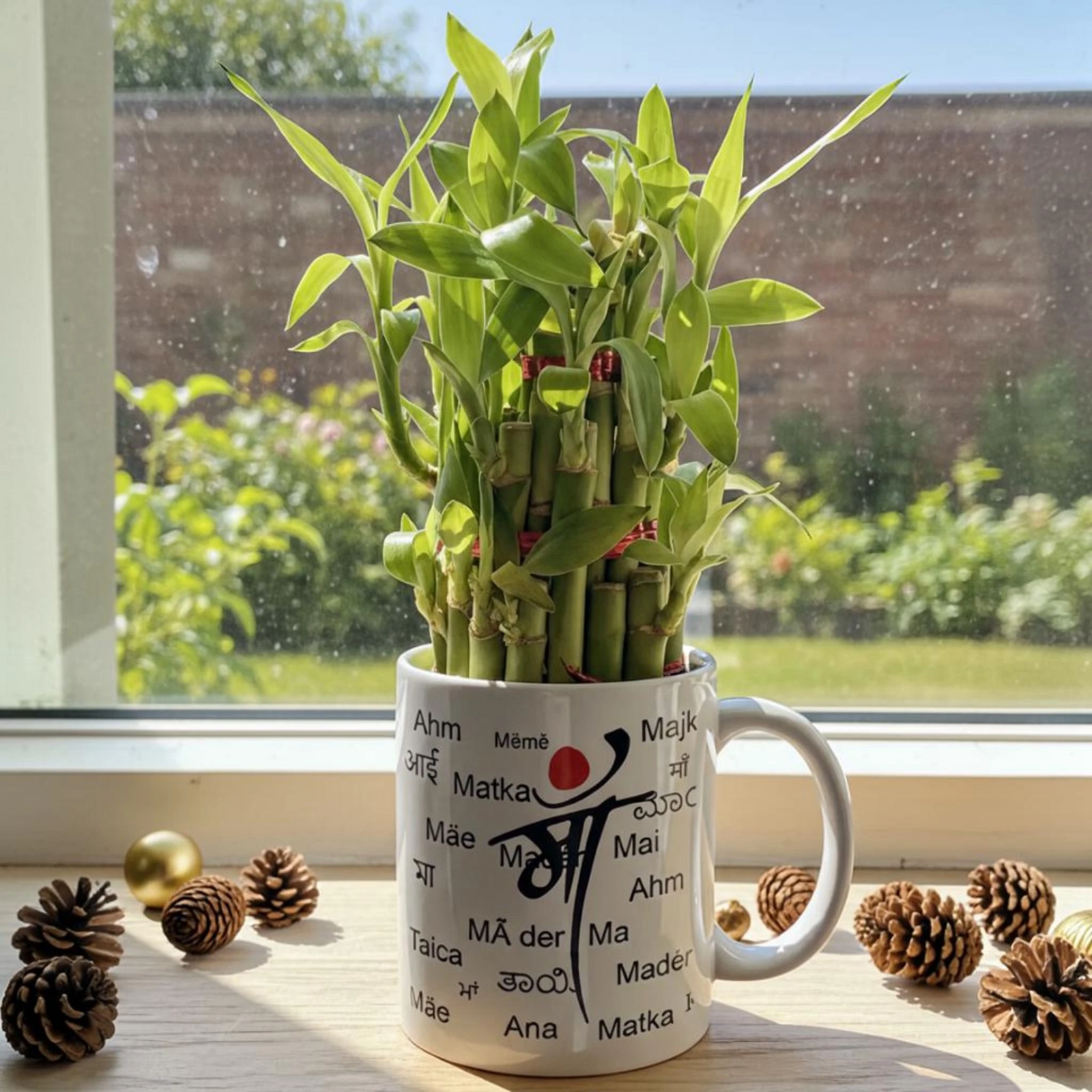 Special Maa Mug With Bamboo Plant
