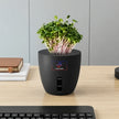Terra Self-Watering Pot Black for Modern Desks