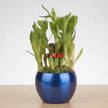 WellKnown Feng Shui 2 Layer Bamboo Plant With Vase