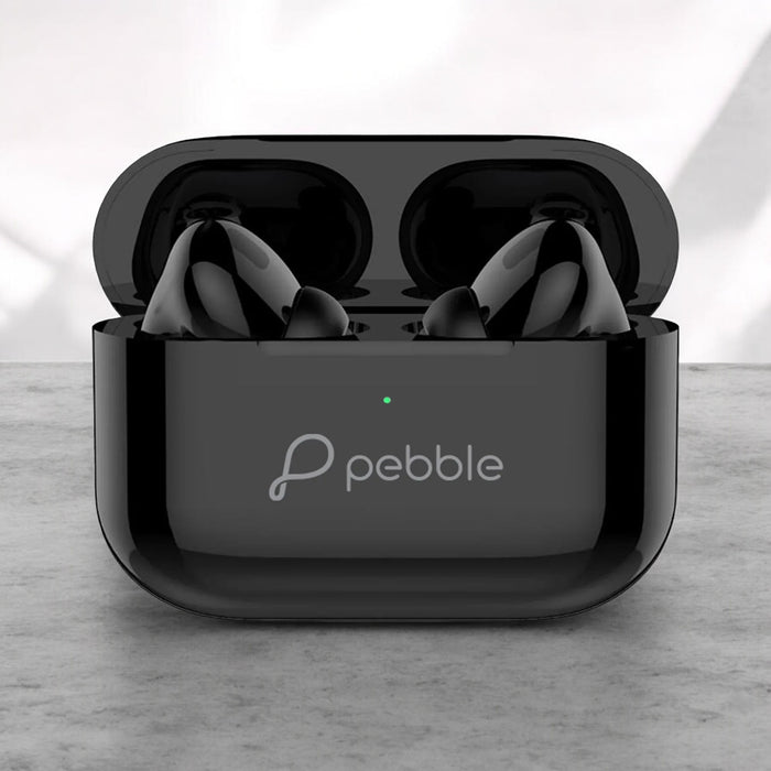 Pebble Echo Buds PTWE101 PFB39 Black